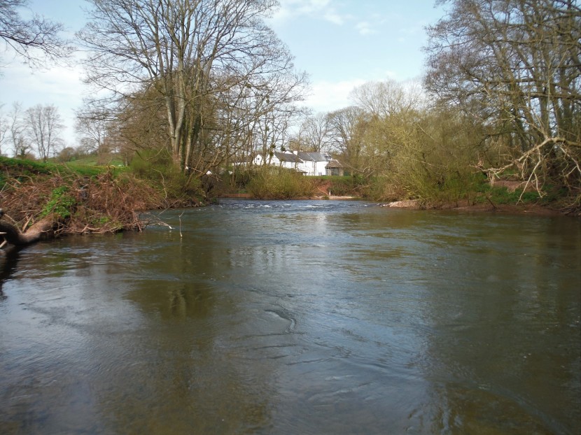 Mild spring weather on the Monnow